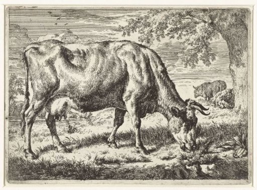 Grazing cow and two sheep