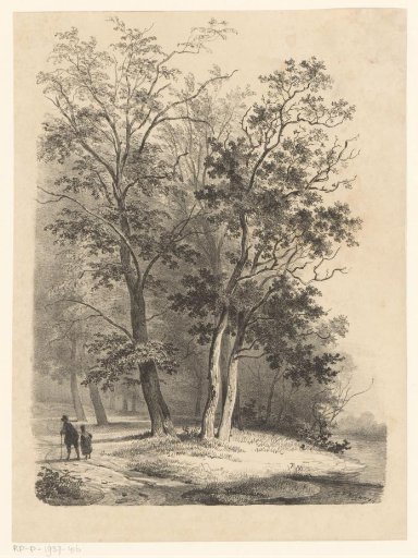 Two figures walking in a wood