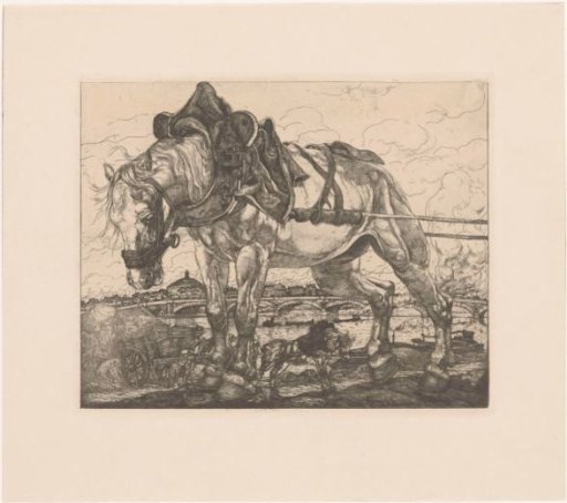 Draft horse by the Seine in Paris