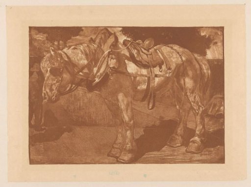 Draft Horse