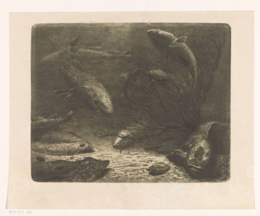 Aquarium
