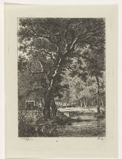 Wooded landscape