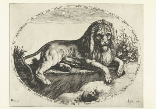 The Lion