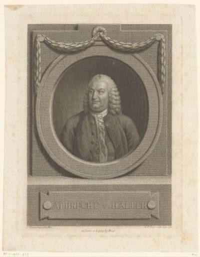 Portrait of Albrecht von Haller