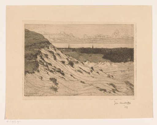 Dune landscape