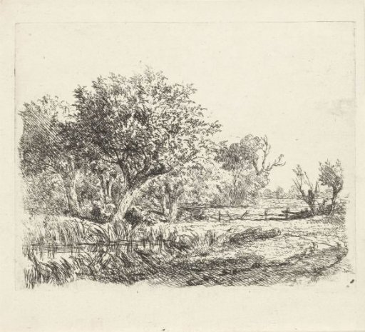 Willows by a pond