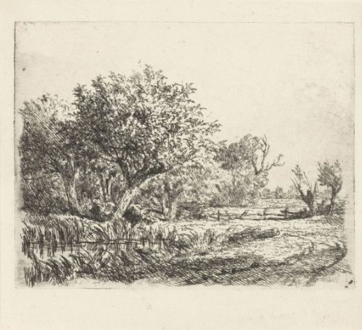 Willows by a pond