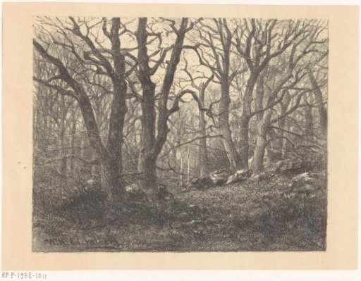 Wood with bare trees