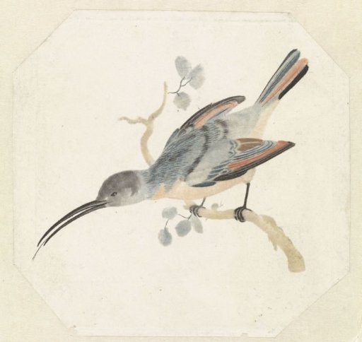 Hummingbird on a Branch Facing Left