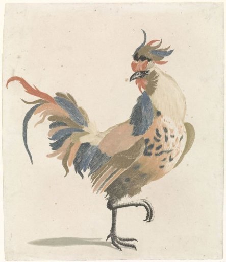 Rooster walking to the right (version A)