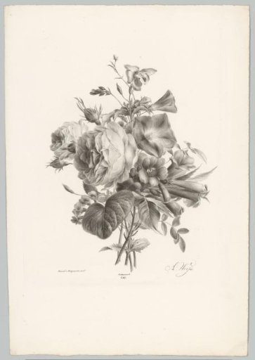 Roses and cup-shaped flowers