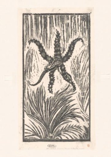 Sea monster