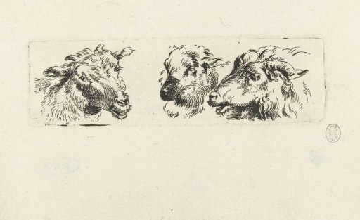 Three heads of goats