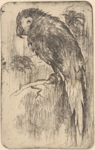 Parrot on a Branch