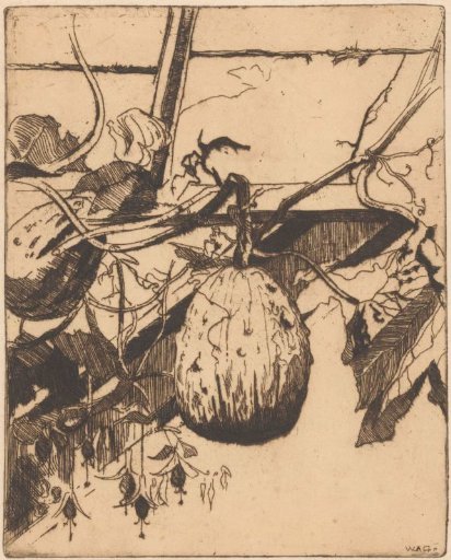 Gourds and Fuchsia