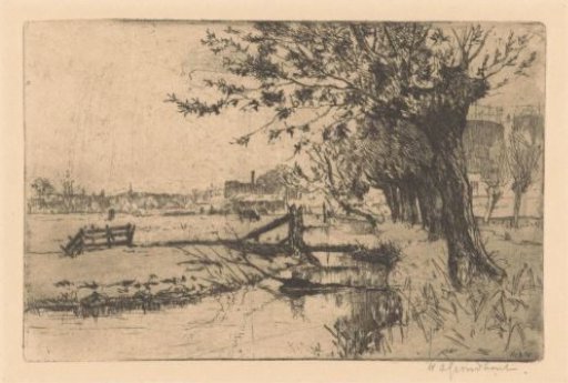 Ditch near the Municipal Gasworks in the Binckhorst in The Hague