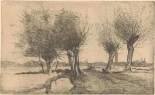 Willows by the Ditch in the Binckhorst in The Hague