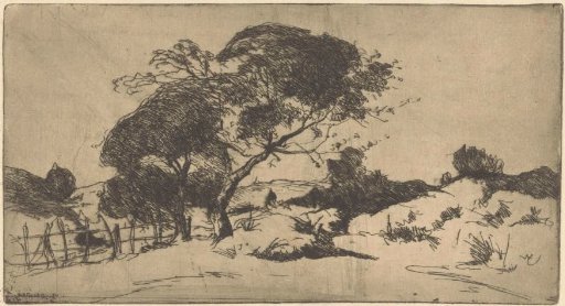 Dune Landscape near The Hague