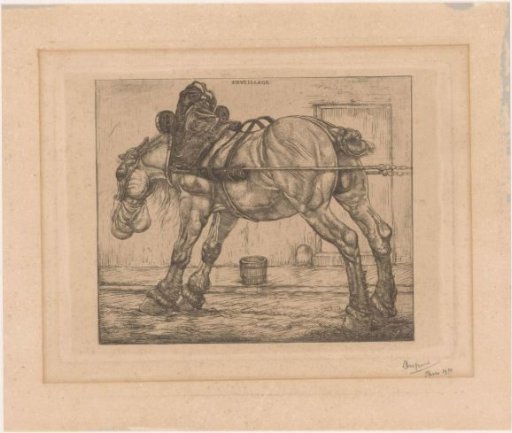 Draft horse with a sack of oats