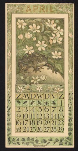 Calendar page for April 1911 with a toad under blossoms