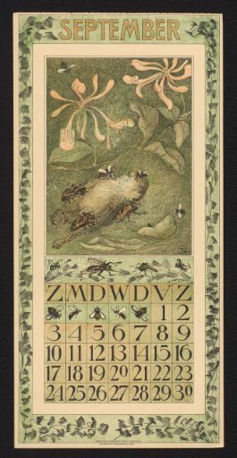 Calendar page for September 1911 with beetles and a dead sparrow