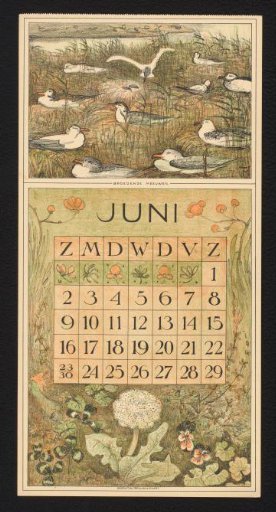 Calendar page for June 1912 with a colony of gulls