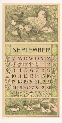 Calendar page September with Muscovy duck