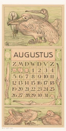 Calendar leaf August with pelicans