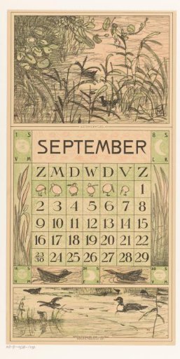 Calendar leaf September with waterfowl among the reeds