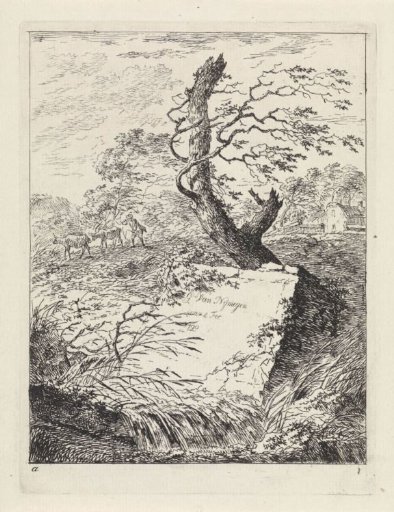 Stone by a tree