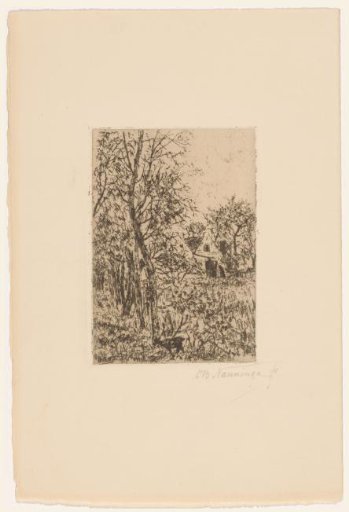Goat in garden