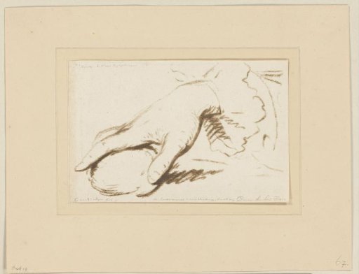 Study of a hand