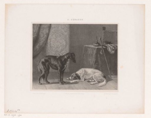 Two Dogs