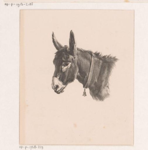 Donkey with a bell around its neck