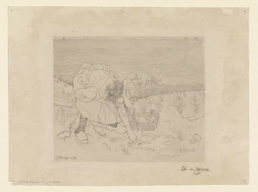 Shell-collecting girl on the beach