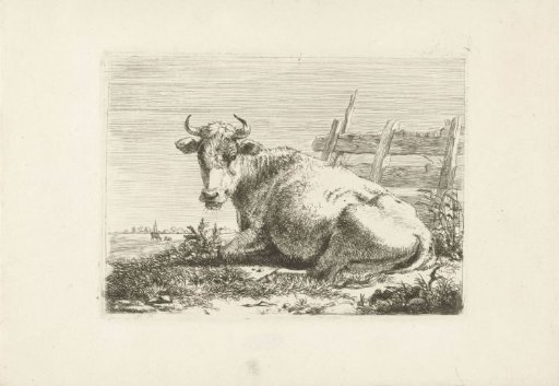 Lying cow by a fence