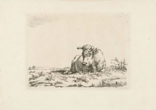 Reclining cow