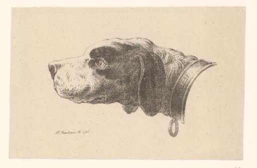 Dog's head with collar