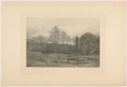 Wooded landscape