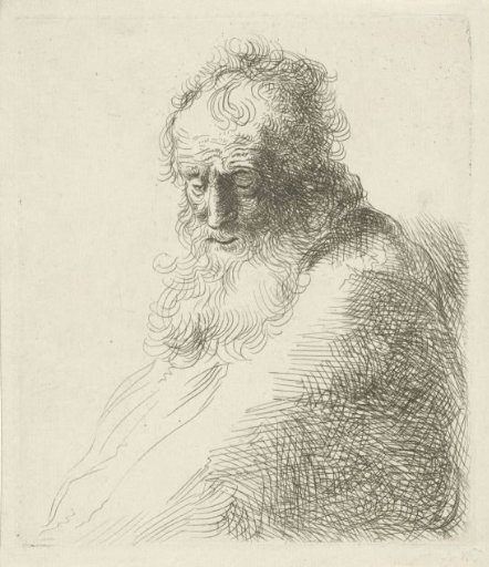 Bust of an Old Man with a Beard