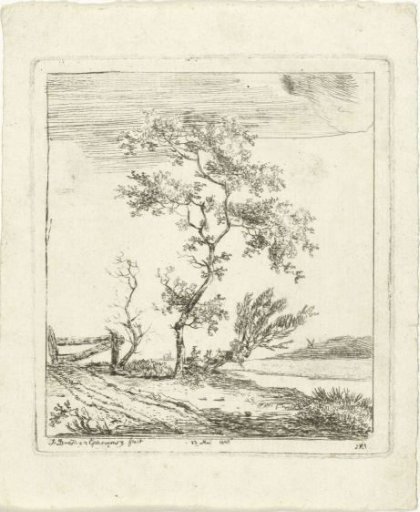 Landscape with a tree by a body of water