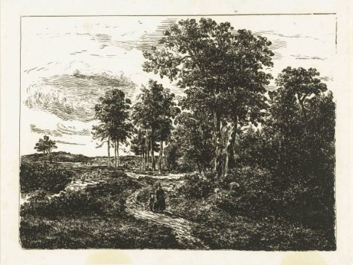 Forest landscape with woman and boy on their way