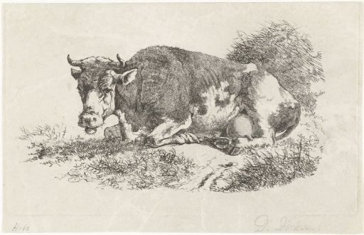 Recumbent cow