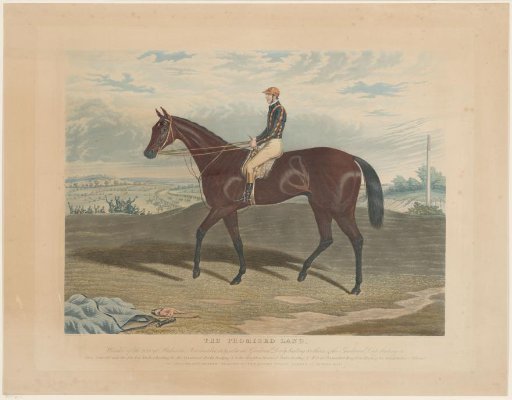 Horseman on horseback