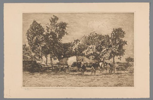 Cows at a farm