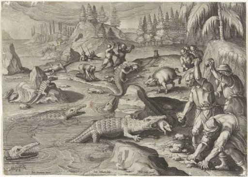 Crocodile catching