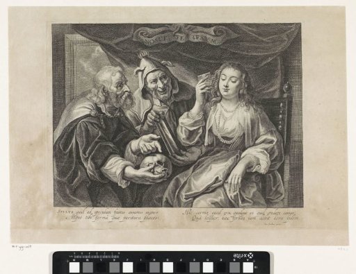 Woman with a comb looking in a mirror