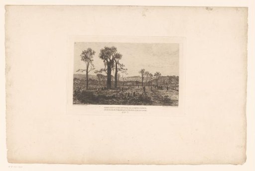 Landscape with destroyed forest