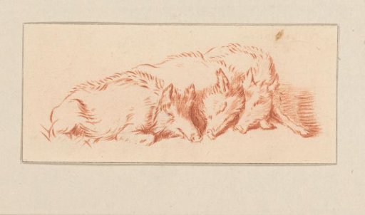 Three lying pigs