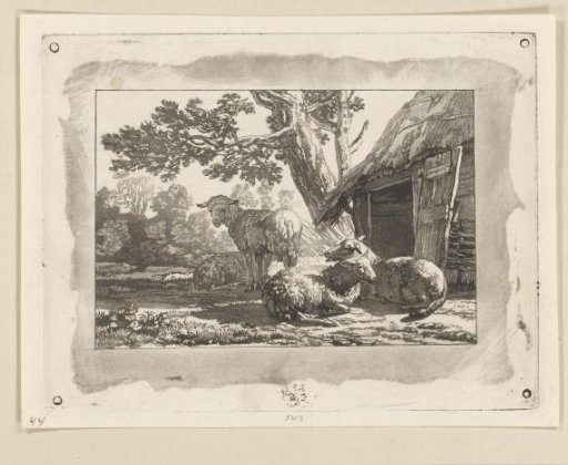 Sheepfold